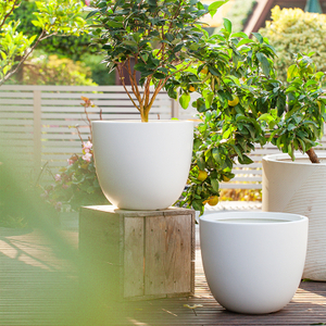 14 Inch HDPE Matte Minimalist Egg Shape Indoor Flower Pot for Home
