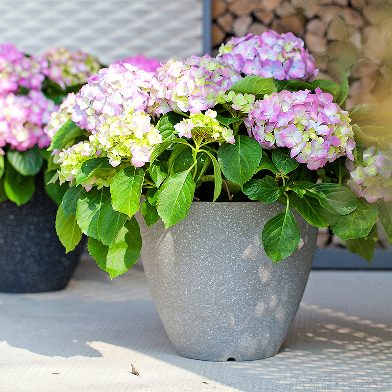 9 Inch EB Concrete Look Minimalist Plastic Planter for Office Desk