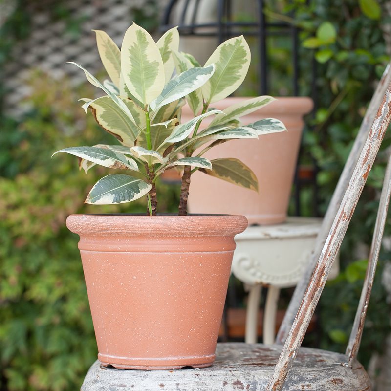 10 Inch HDPE Matte Finish Rustic Flower Pot for Outdoor Patio
