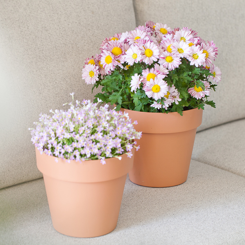 7 inch PP Smooth Minimalist Flower Pot for Indoor Decoration