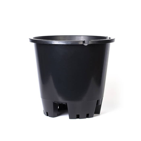 news_main_image_25l-blueberry-pot6cbdf-800-8005443014028093237586.jpg