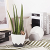 5-Inch PP Smooth Minimalist Nordic Flower Pot for Indoor
