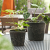 7 Inch EB Stone Look Modern Plastic Flower Pot for Patio Garden