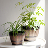 9 inch PP Wood Look Rustic Wide Opening Planter for Garden
