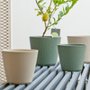 9 Inch PP Ribbed Texture Minimalist Plastic Planter for Home Garden