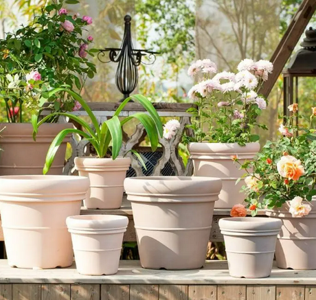 Garden Plastic Plant Pot.png