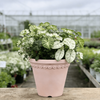 9 Inch HDPE Terracotta Look Classic Plastic Planter for Home Decor
